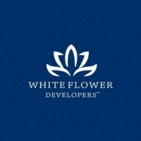 whiteflower01